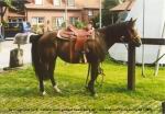 Klicke auf das Bild fr eine Vergrerung (von Bild 3)